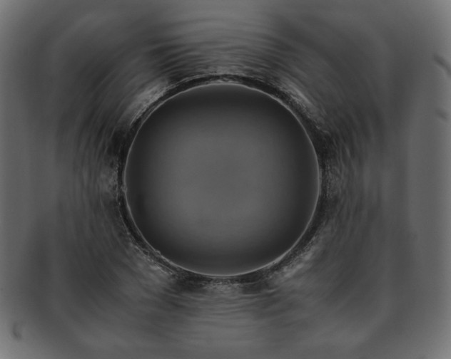 X0000093240977200710031559