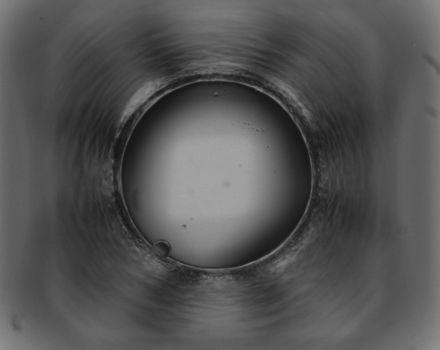 X0000093240978200710031559