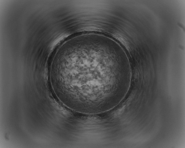 X0000093240979200710031559