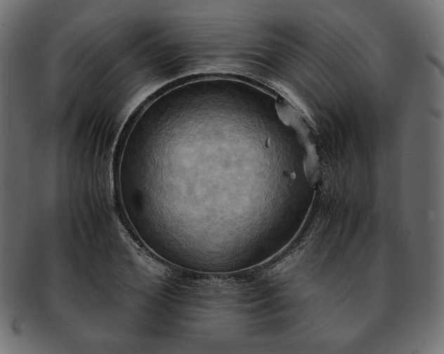 X0000093240980200710031559
