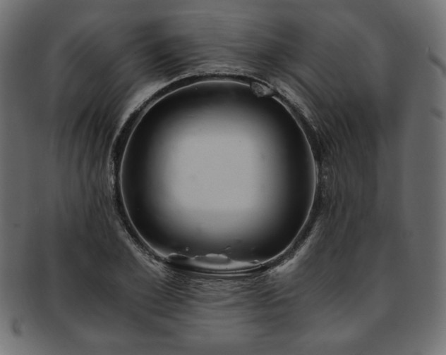 X0000093240981200710031559