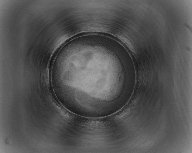 X0000093240982200710031559