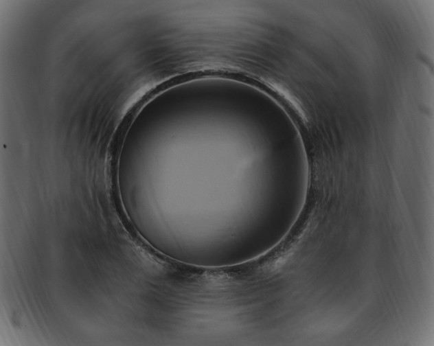X0000093240983200710031559