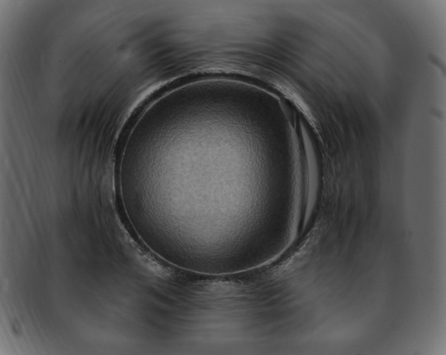 X0000093240984200710031559