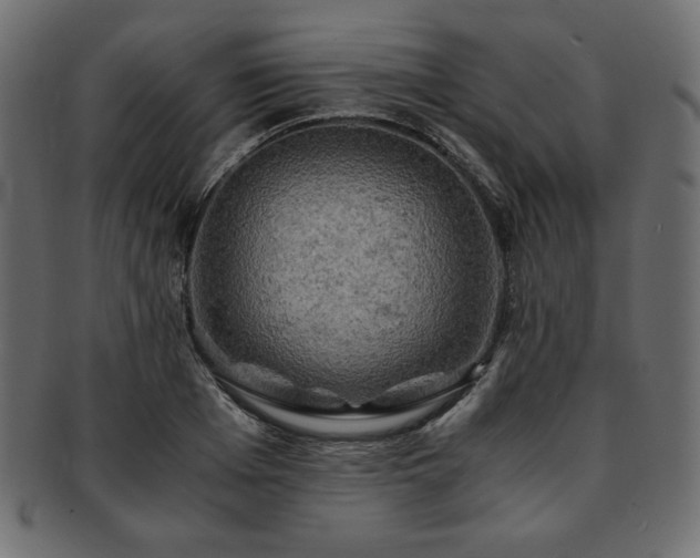 X0000093240985200710031559