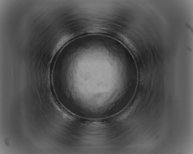 X0000093240986200710031559