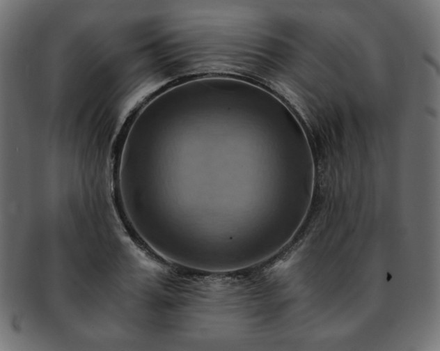 X0000093240987200710031559