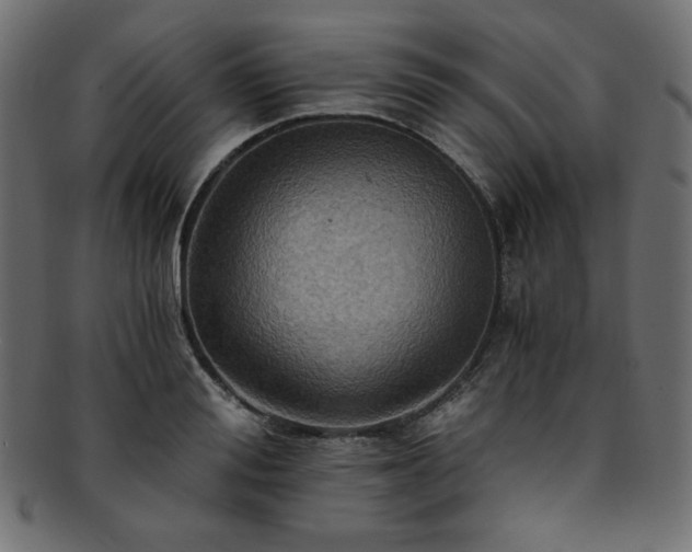 X0000093240988200710031559