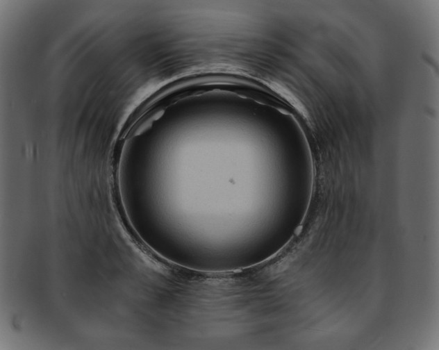 X0000093240989200710031559