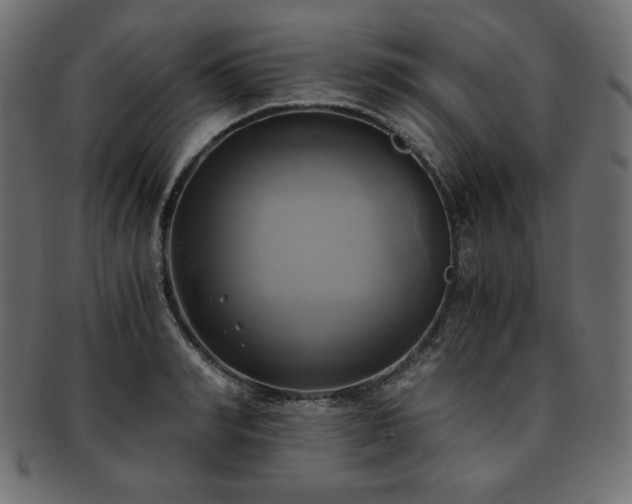 X0000093240990200710031559