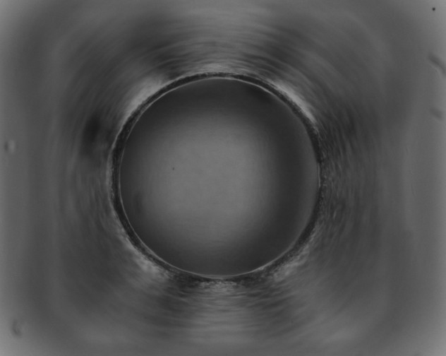 X0000093240991200710031559