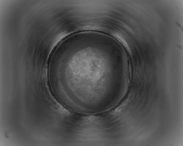 X0000093240992200710031559