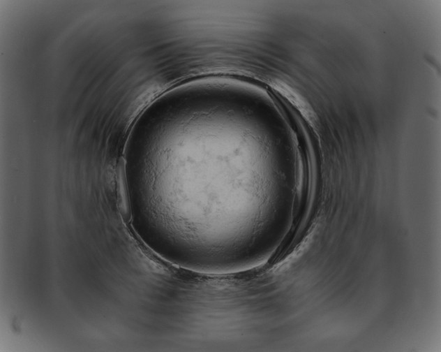 X0000093240993200710031559