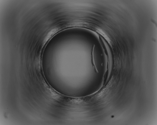 X0000093240994200710031559