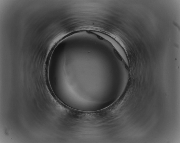 X0000093240995200710031559