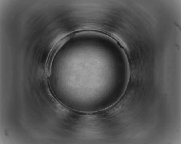 X0000093240996200710031559