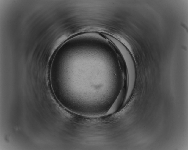 X0000093240997200710031559