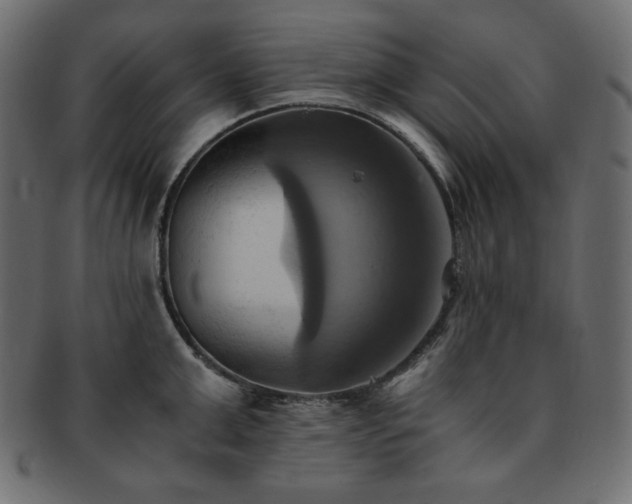 X0000093240999200710031558
