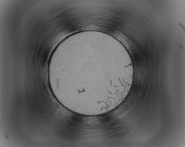 X0000093241000200710031558