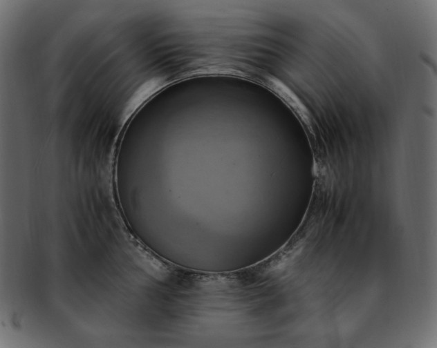 X0000093241002200710031558