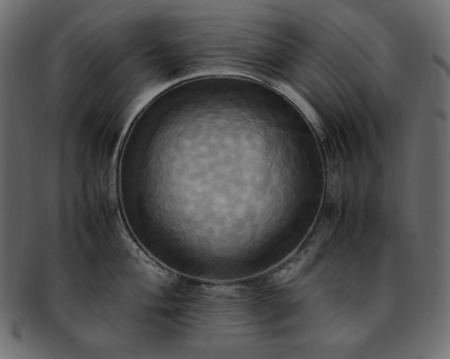 X0000093241004200710031558