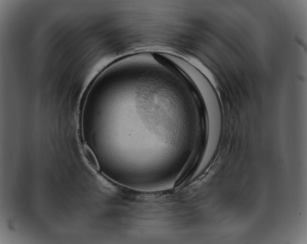 X0000093241005200710031558