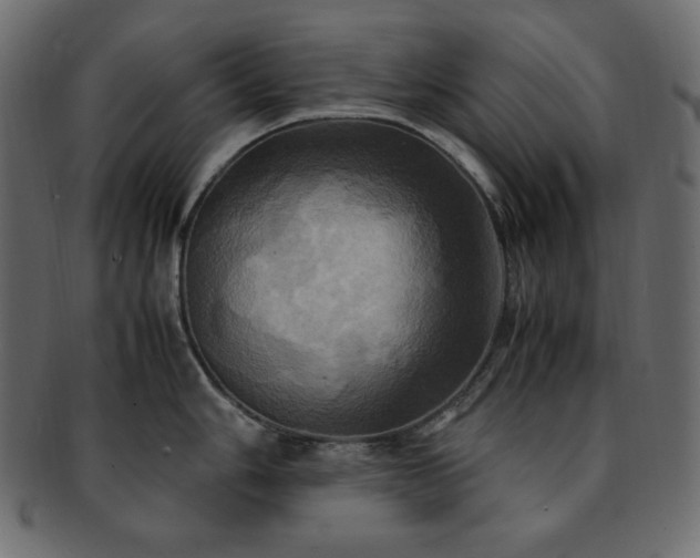 X0000093241006200710031558