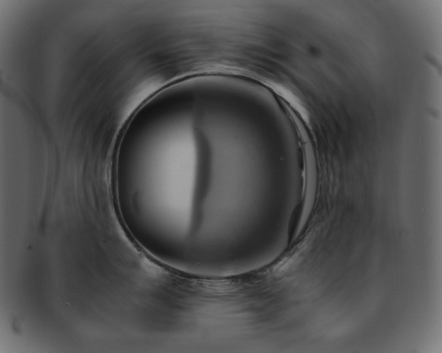 X0000093241007200710031558