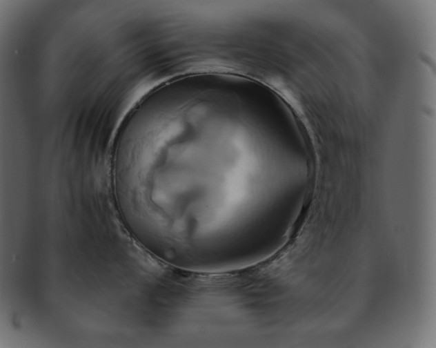 X0000093241008200710031558