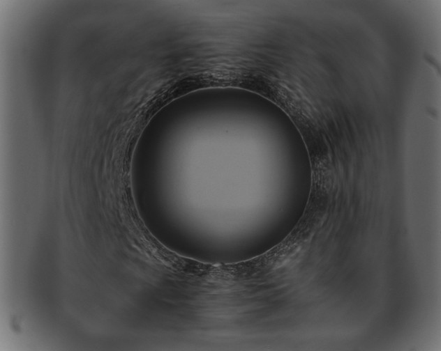 X0000093241009200710031558