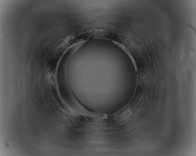 X0000093241010200710031558