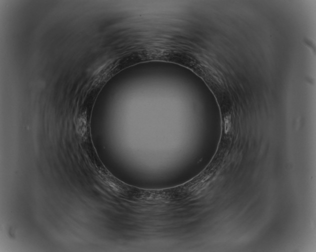 X0000093241011200710031558