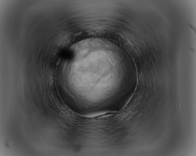 X0000093241012200710031558
