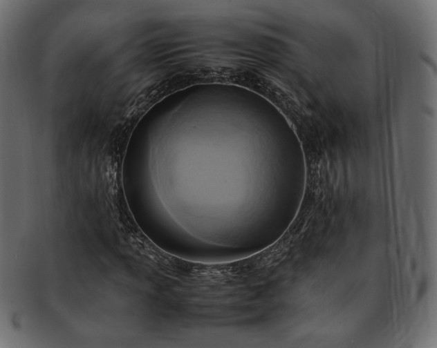 X0000093241013200710031558