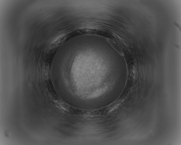X0000093241014200710031558
