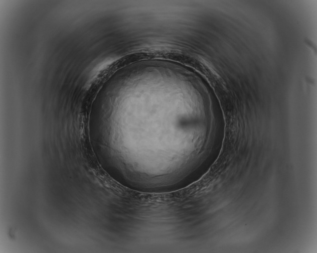 X0000093241016200710031558