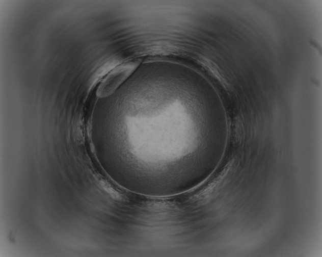X0000093241018200710031558