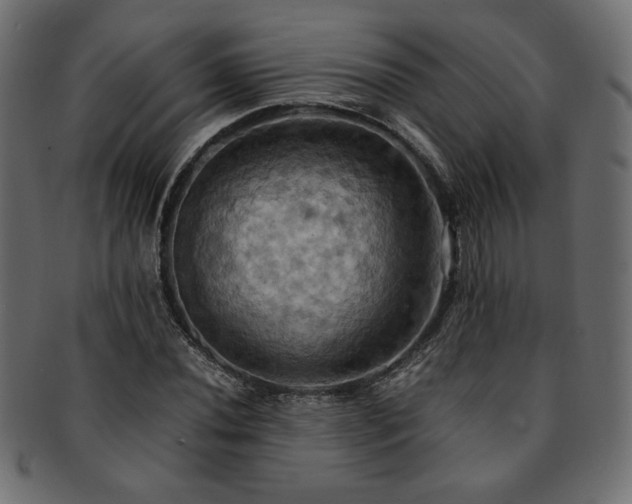 X0000093241020200710031558