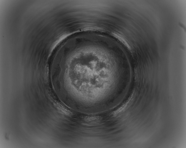 X0000093241021200710031558