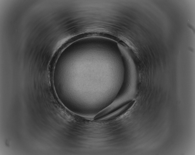X0000093241022200710031558