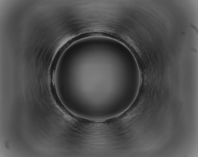 X0000093241024200710031558
