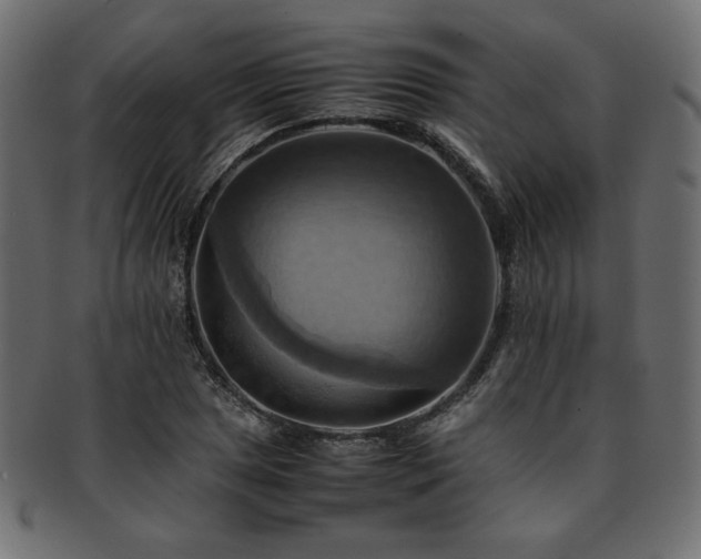 X0000093241025200710031558