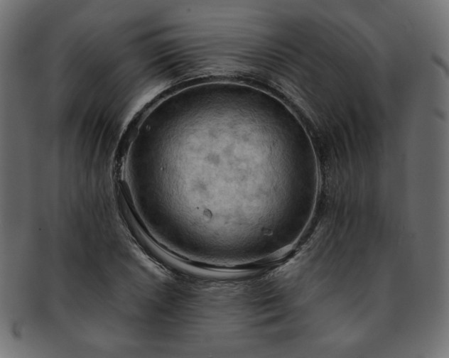 X0000093241026200710031558