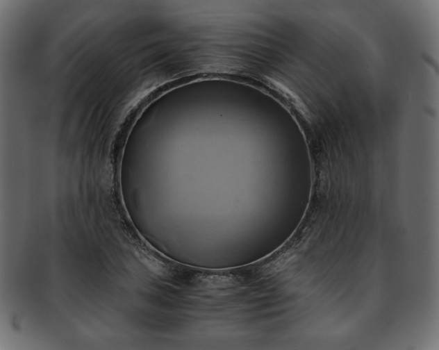 X0000093241027200710031558