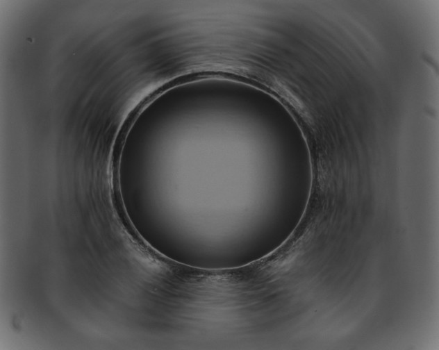X0000093241028200710031558