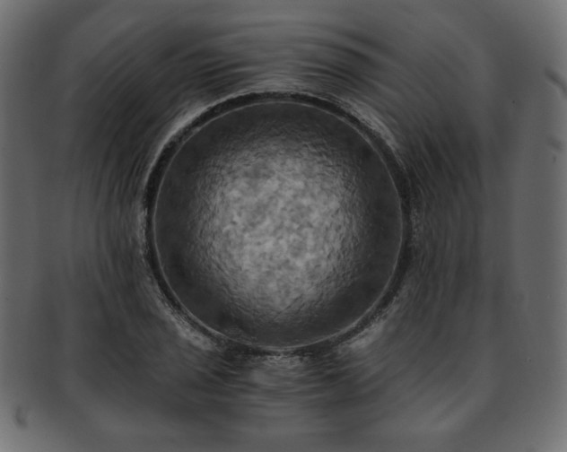 X0000093241029200710031558
