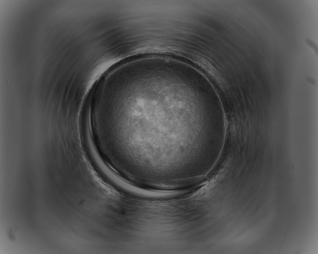 X0000093241030200710031558