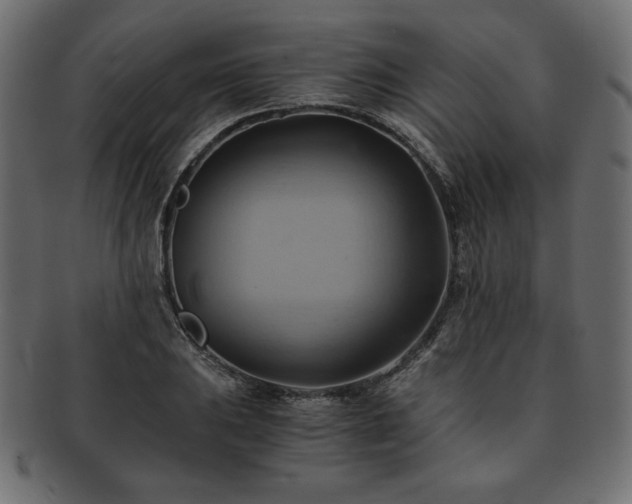 X0000093241031200710031558