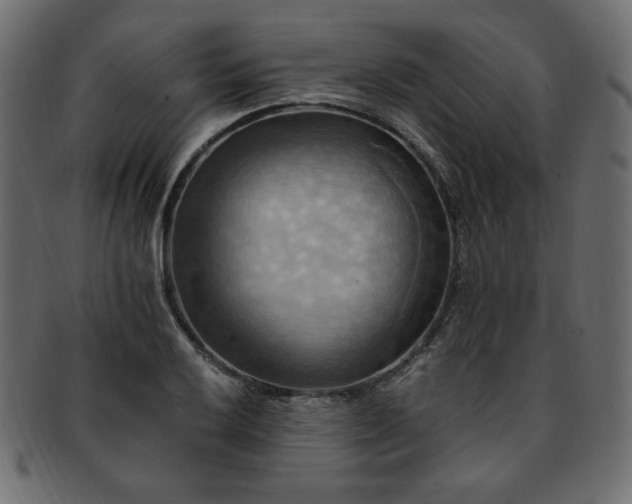 X0000093241032200710031558