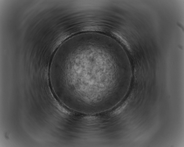 X0000093241033200710031558